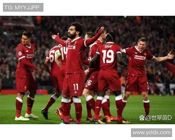 沃特福德与水晶宫历史交锋比分回顾及分析