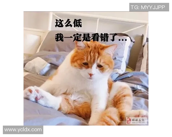 媒体人:跨年准则是早晚要考虑的,跨了才干真实融入国际系统 媒体人:跨年准则是早晚要考虑的,跨了才干真实融入国际系统